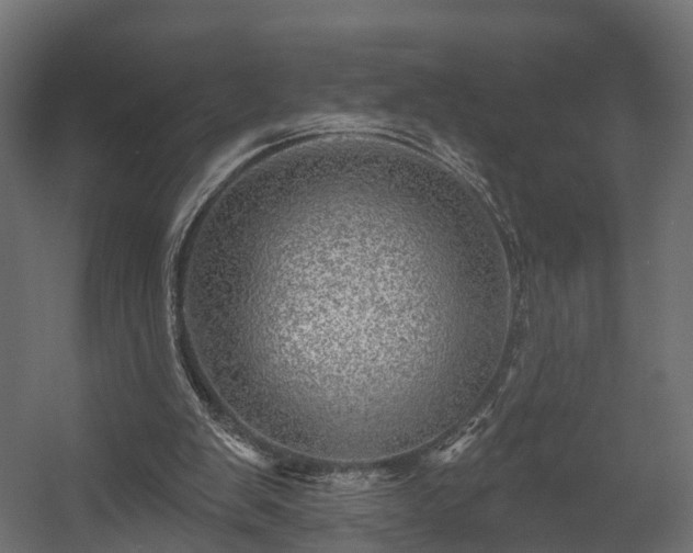 X0000058120103200509261245