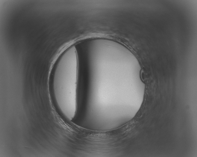 X0000058120104200509261245