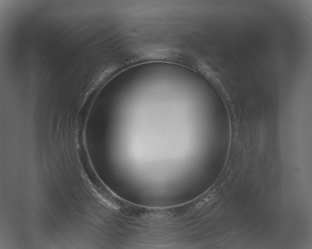 X0000058120106200509261245