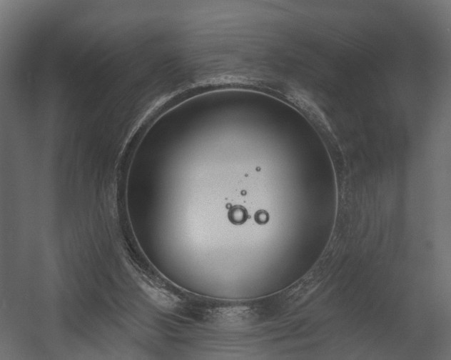 X0000058120108200509261244