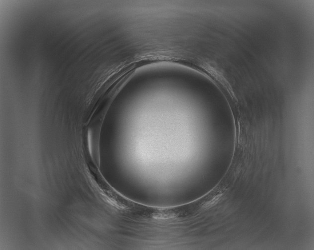 X0000058120109200509261244