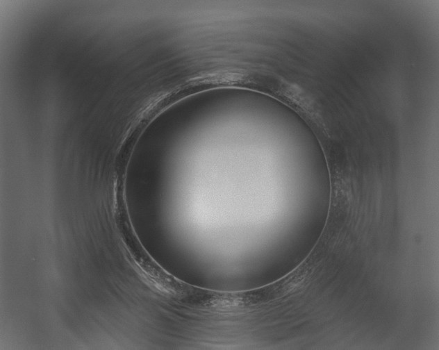 X0000058120110200509261244