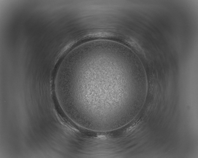 X0000058120111200509261244