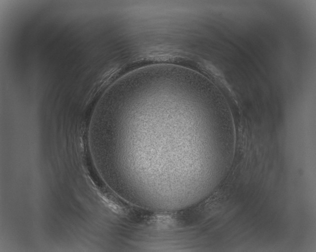 X0000058120114200509261244