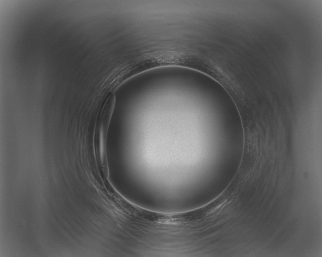 X0000058120117200509261244