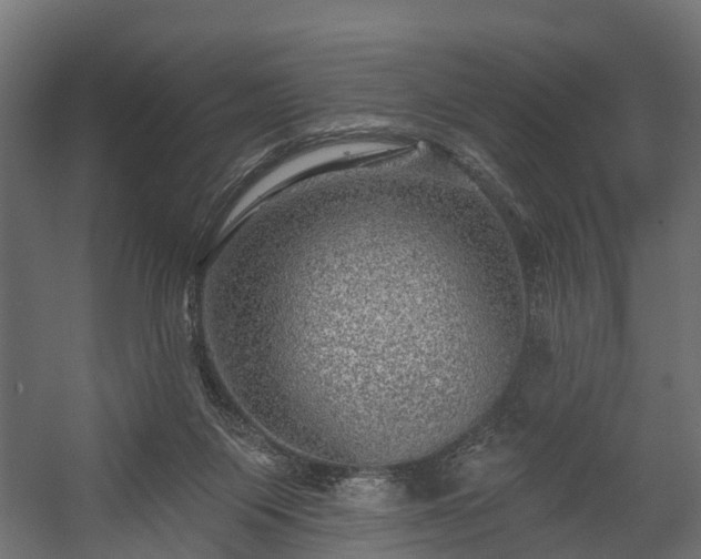 X0000058120119200509261244