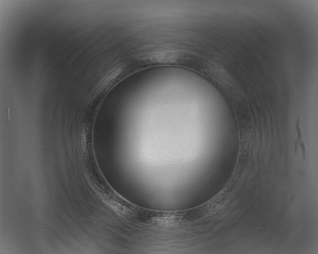 X0000058120120200509261244