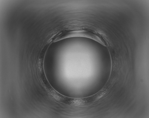 X0000058120121200509261244