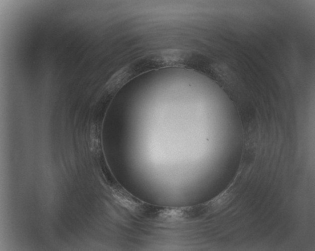 X0000058120140200509261244