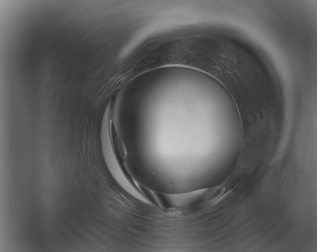 X0000058120143200509261244