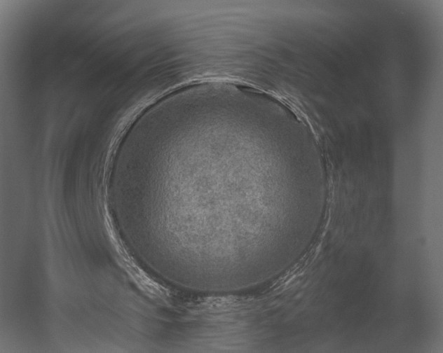 X0000058120145200509261243