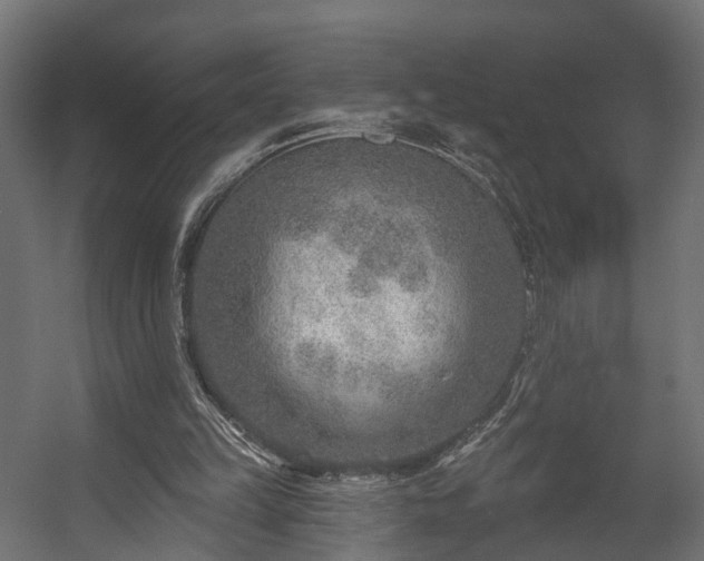 X0000058120149200509261243