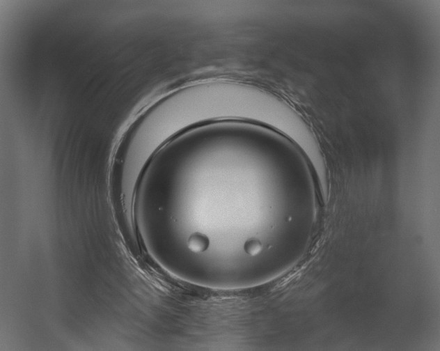 X0000058120150200509261243