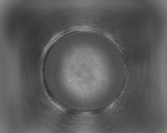 X0000058120151200509261243