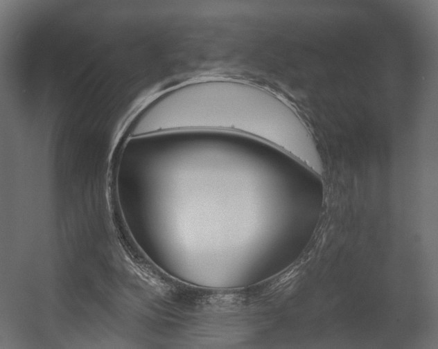 X0000058120152200509261243