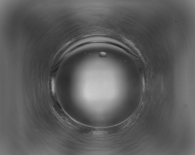 X0000058120154200509261243