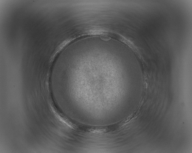 X0000058120155200509261243