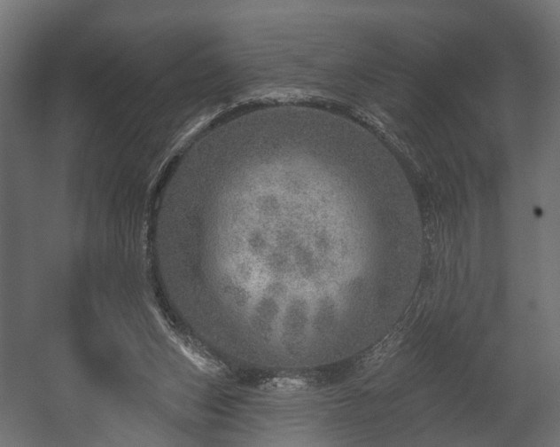 X0000058120159200509261243