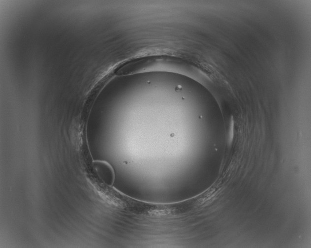 X0000058120160200509261243