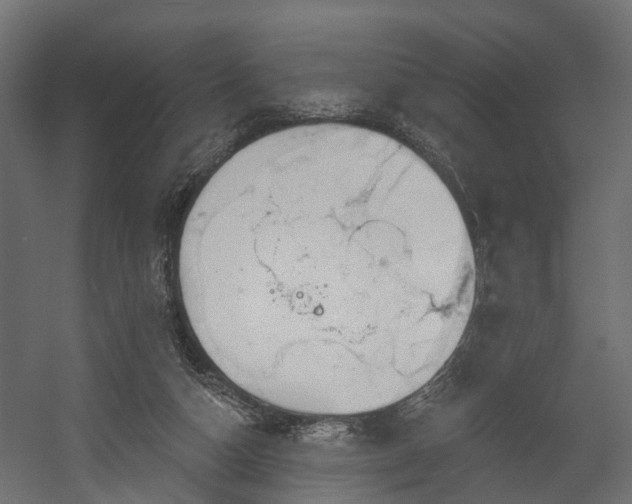 X0000058120162200509261243