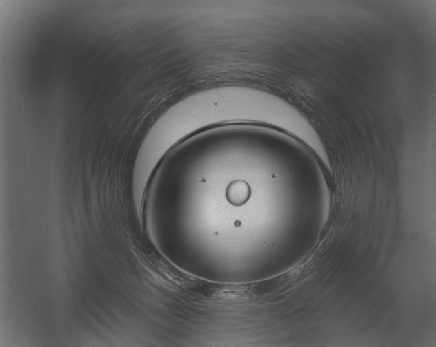 X0000058120175200509261244