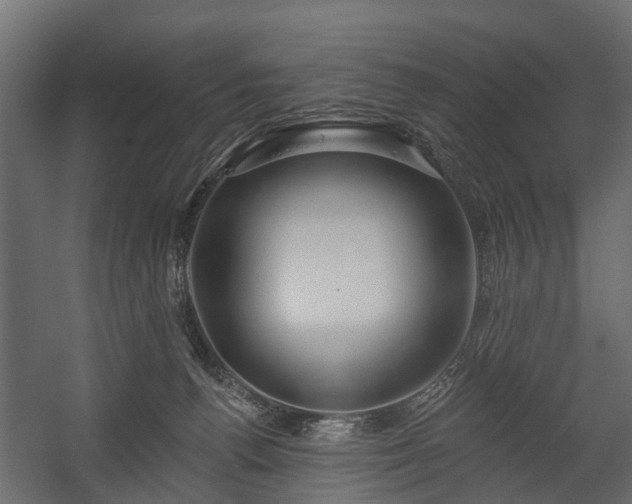 X0000058120176200509261244