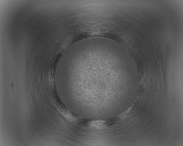 X0000058120179200509261244