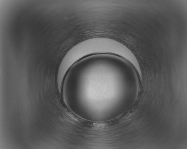 X0000058120185200509261244