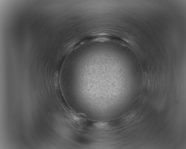 X0000058120189200509261244