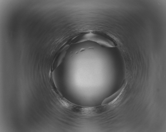 X0000058120192200509261244