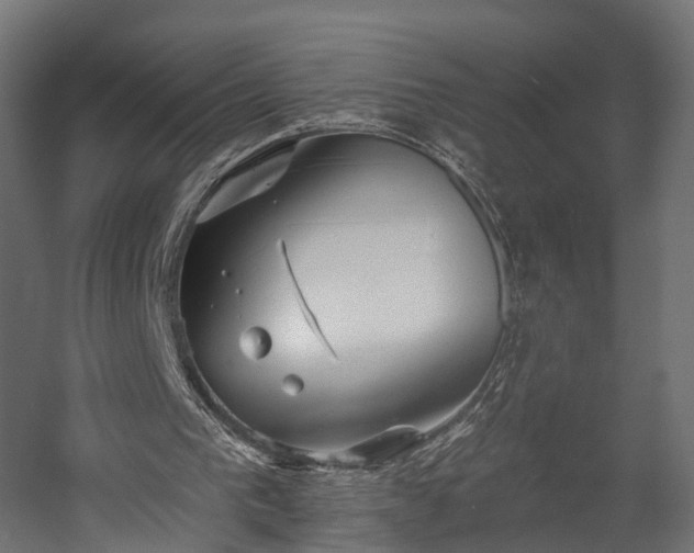 X0000058120193200509261243