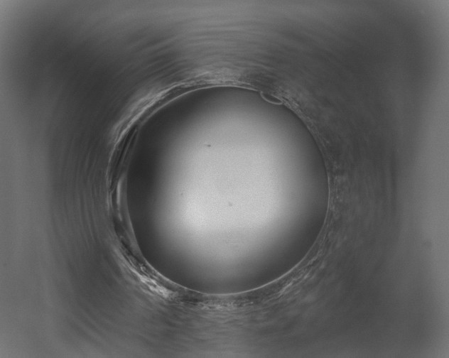 X0000058120194200509261243