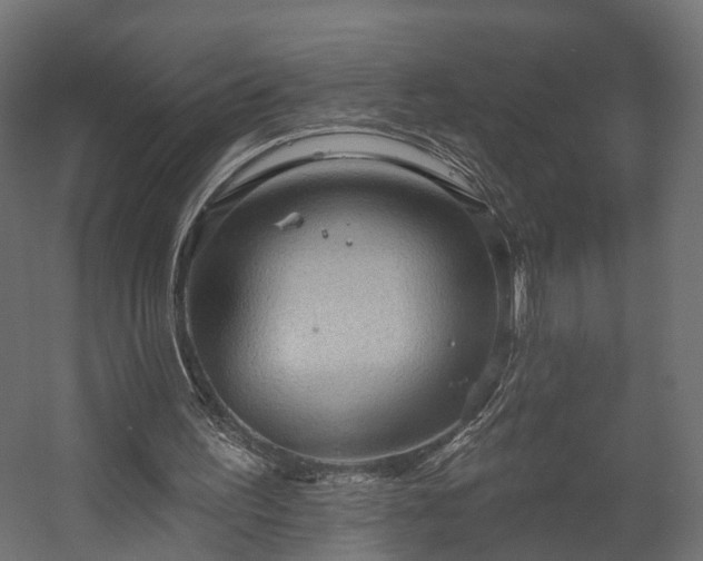 X0000058120195200509261243