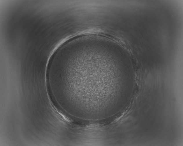 X0000058120196200509261243