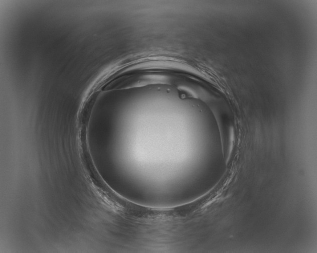 X0000058120197200509261243