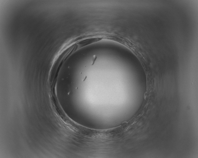 X0000058120198200509261243