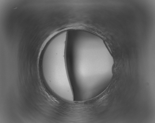 X0000058120200200509261243