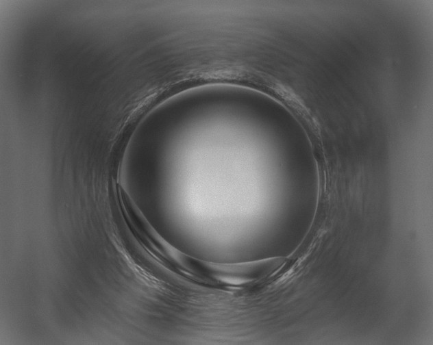 X0000058120201200509261243