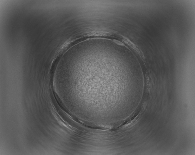 X0000058120203200509261243