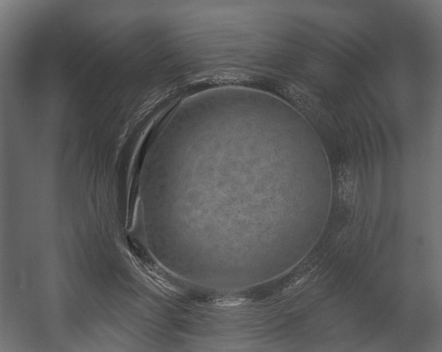 X0000058120206200509261243