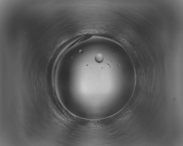 X0000058120207200509261243