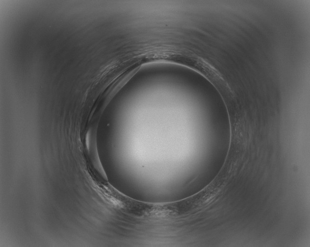 X0000058120209200509261243