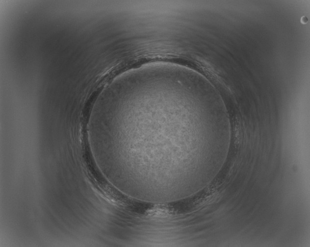 X0000058120211200509261243