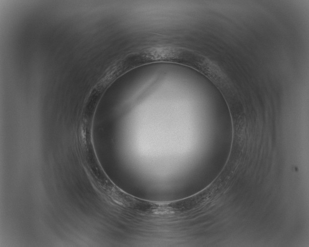 X0000058120214200509261243