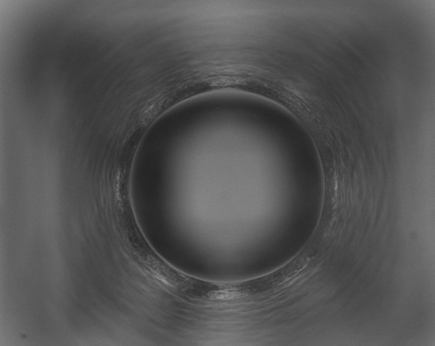 X0000058120219200509261243