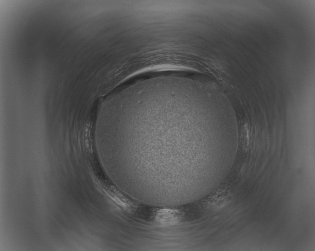 X0000058120222200509261243