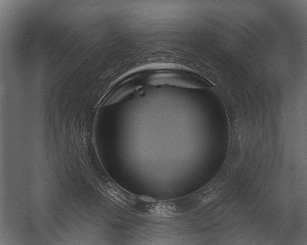 X0000058120223200509261242