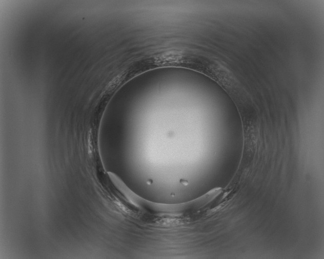 X0000058120224200509261242