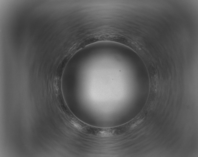 X0000058120232200509261242