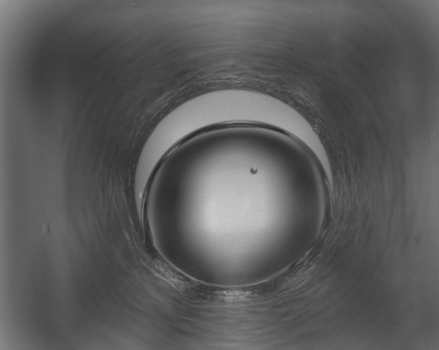 X0000058120233200509261242